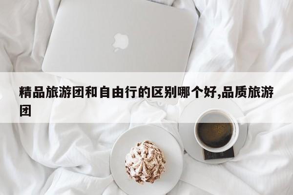 精品旅游团和自由行的区别哪个好,品质旅游团