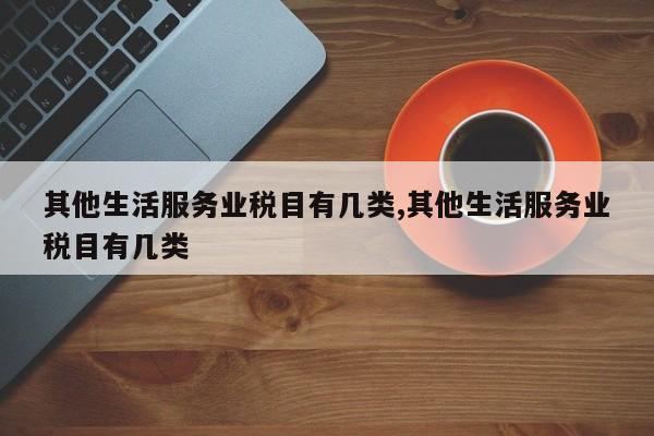 其他生活服务业税目有几类,其他生活服务业税目有几类